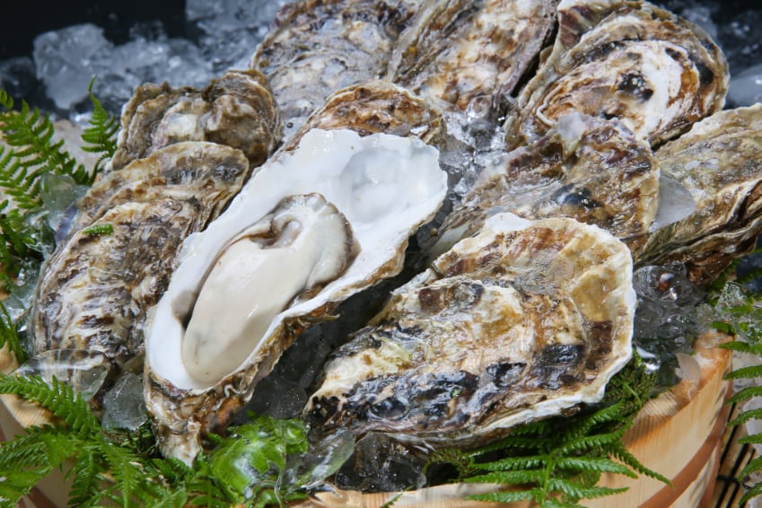 厚岸殻牡蠣の商品画像