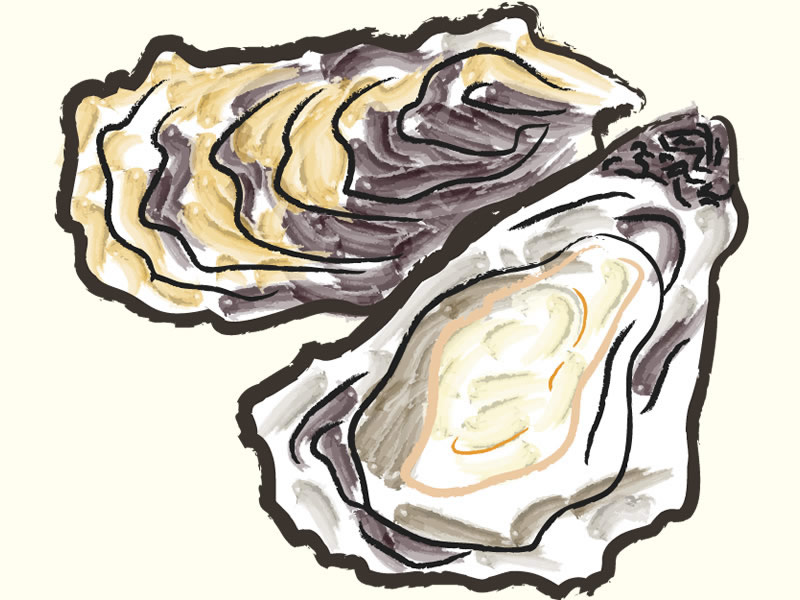 厚岸殻牡蠣の通販ページへ